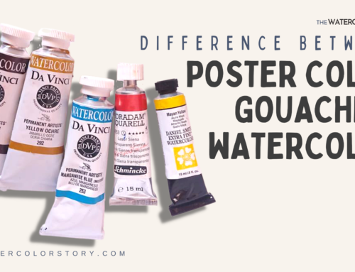 DIFFERENCE BETWEEN WATERCOLORS, GOUACHE & POSTER COLORS